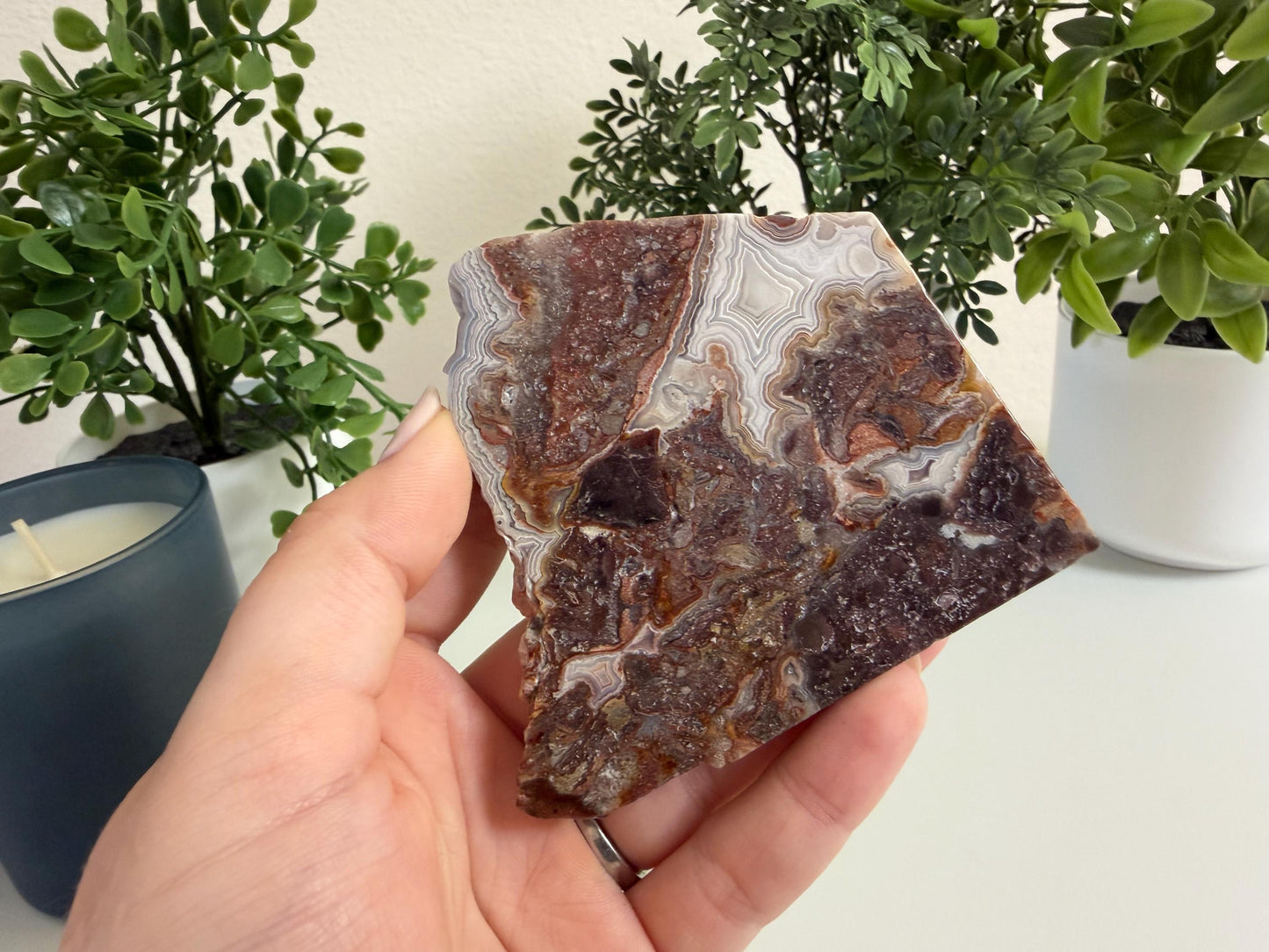 Crazy Lace Agate Slab