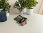 Flower Agate Cube