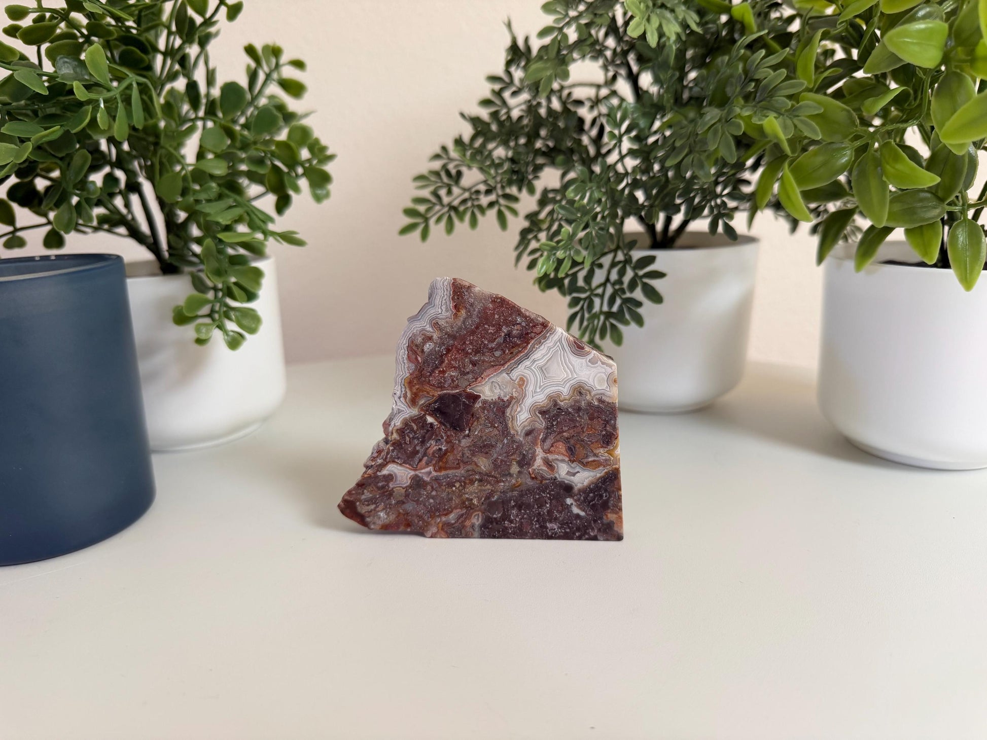 Crazy Lace Agate Slab