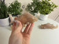Flower Agate Hammerhead Shark Carvings
