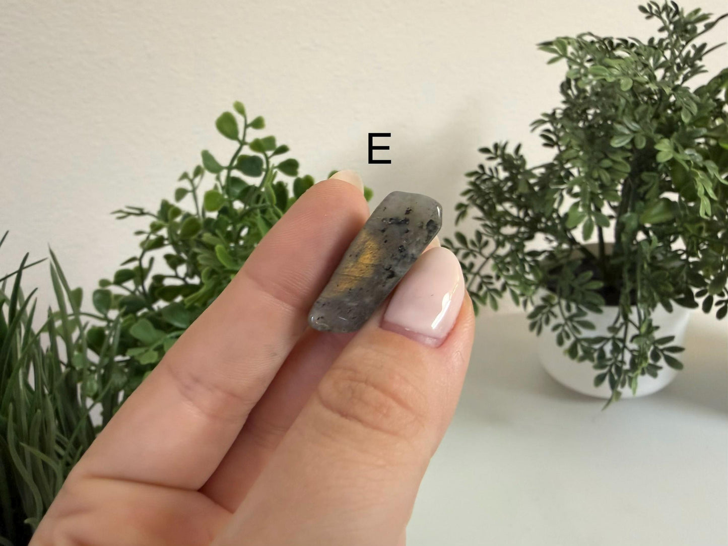 Mini Labradorite Free Forms