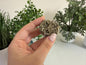Raw Pyrite Cluster