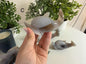 Agate Dolphin Carvings