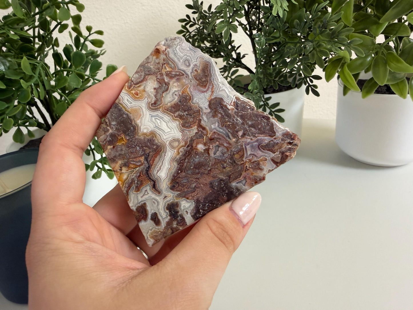 Crazy Lace Agate Slab