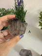 Black Rutilated Quartz Freeform