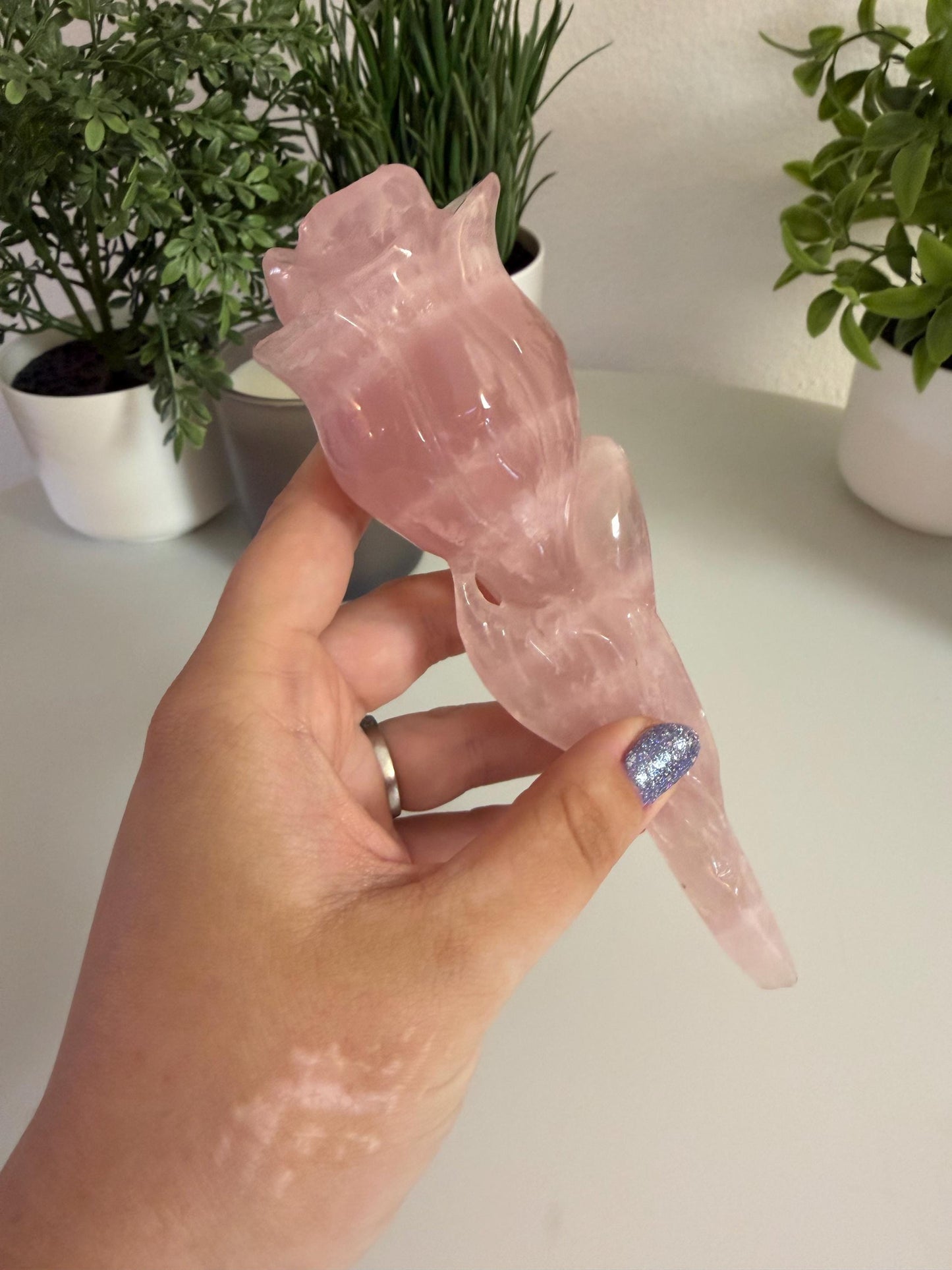 Rose Quartz Long Stem Rose