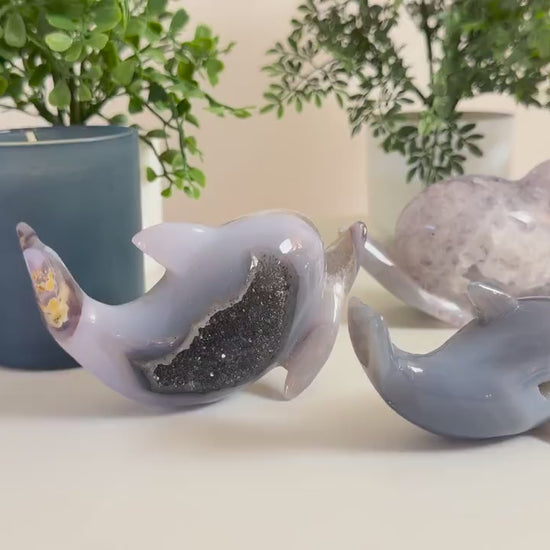 Agate Dolphin Carvings