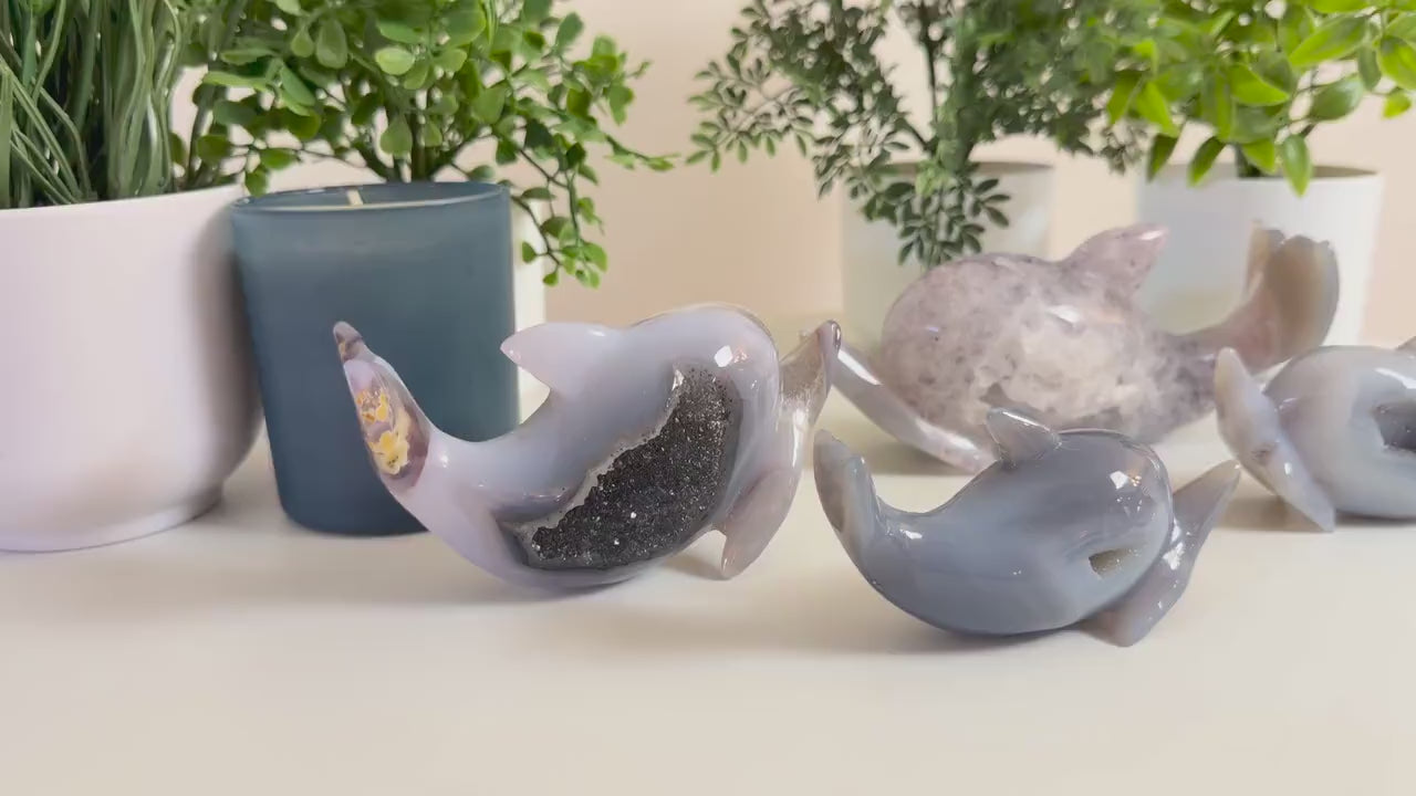 Agate Dolphin Carvings